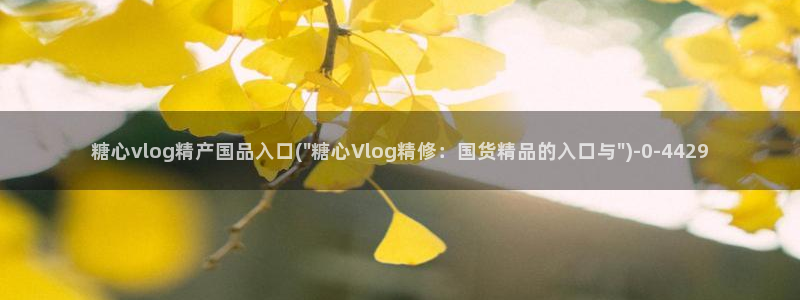 51糖心：糖心vlog精产国品入口(\