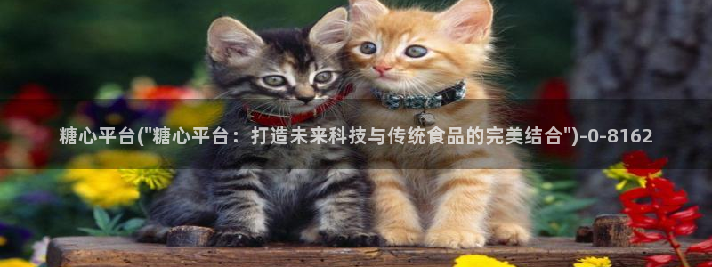 心糖vlogo